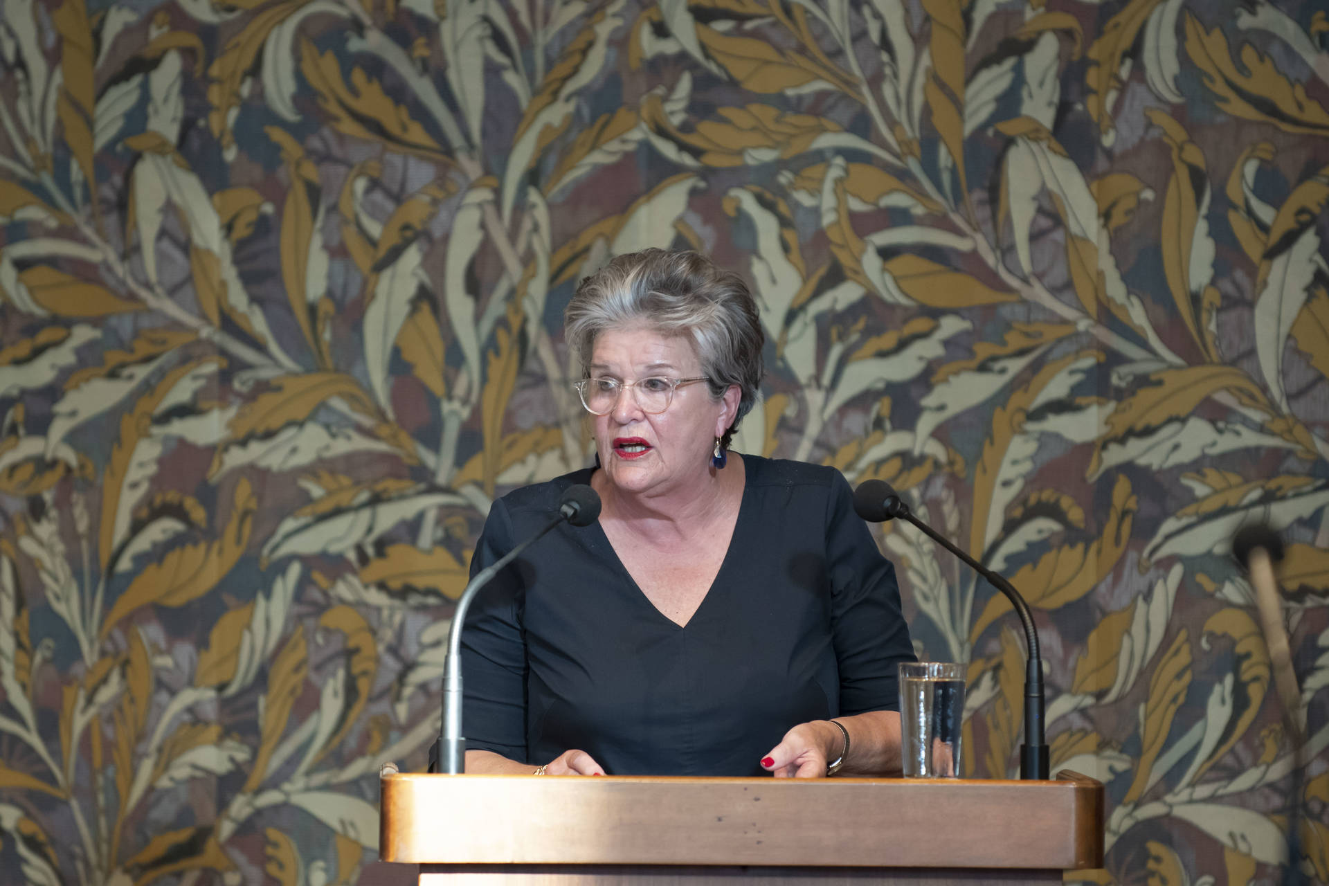 Senator Huijbregts (VVD)